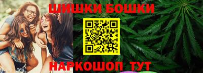 мдпв Камышлов