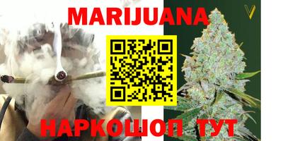 мдпв Камышлов