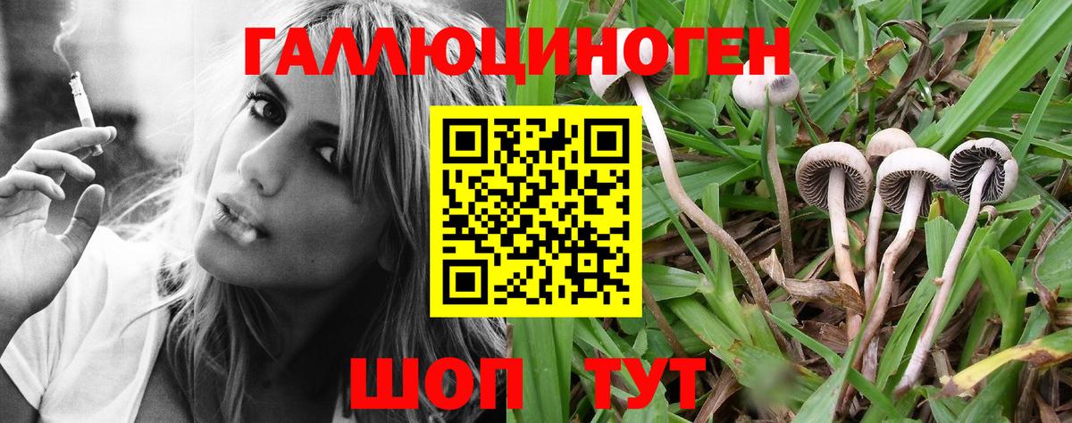 Галлюциногенные грибы Psilocybe  дарнет шоп  Королёв  Вход с VPN 